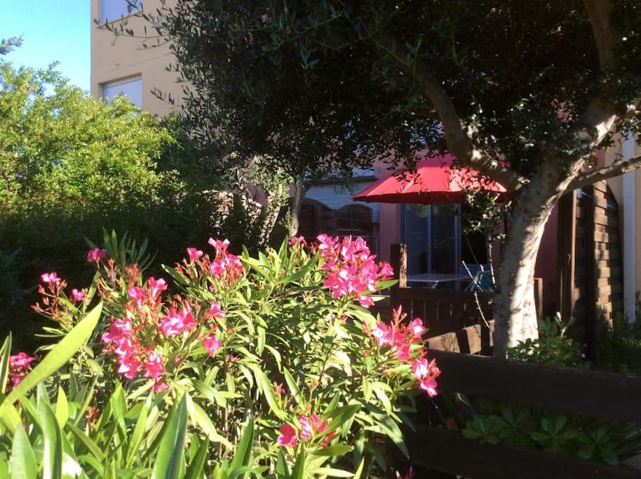 Cap Agde Studio-Cabine Jardin Clos, Port Et Plage 外观 照片